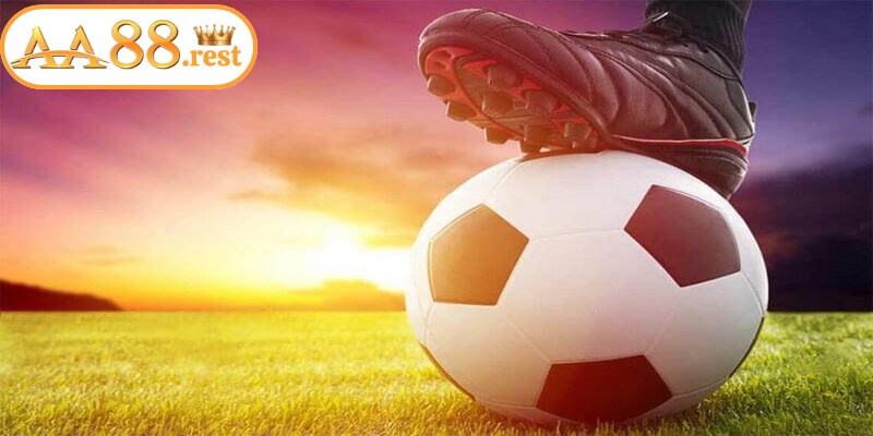 Chia sẻ cách bắt kèo cược đồng banh chính xác nhất
